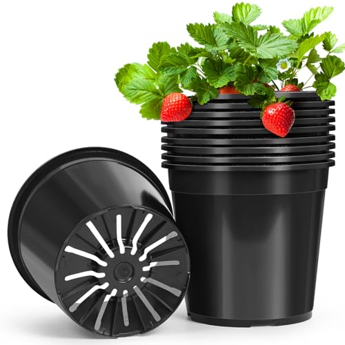 10 Pack 2 Gallon Pots for Plants, 2 Gallon Plastic Plant Pots with Drainage, Sturdy Plastic Pots for Plants, Flowers, Succulent Outdoor Indoor - size: 2 Gal- 10 Pack