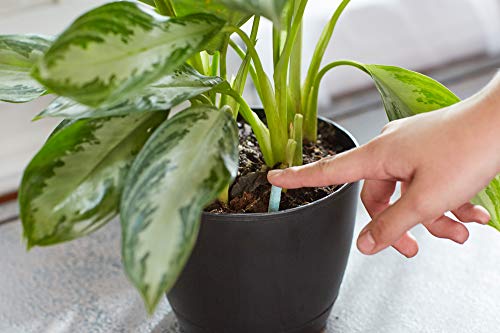 Miracle-Gro Indoor Plant Food Spikes, 48 Spikes (2-Pack) - size: 2 Pack, style: 48 Spikes