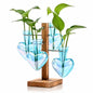 Nacome Plant Terrarium Propagation Stations: Blue Vase with Wooden Stand - color: Blue