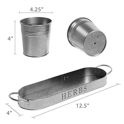 Barnyard Designs Indoor Herb Garden Planter Pots Set/3 (Galvanized) - color: Galvanized
