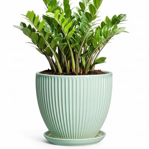 10 Inch Planter Indoor, Ceramic Pots with Saucer, Mint Green - color: Mint Green, size: 10 Inch