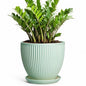 10 Inch Planter Indoor, Ceramic Pots with Saucer, Mint Green - color: Mint Green, size: 10 Inch