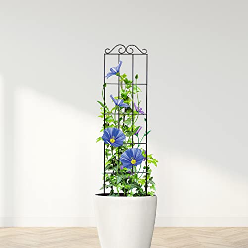 ARIFARO 4Pack 37.5'' Metal Garden Trellis for Climbing Plants Outdoor - size: 37.5 inches