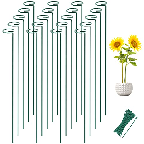 20 Pack 36 Inch Plant Support Stakes for Outdoor Plants and Indoor Flowers - size: 36 inch