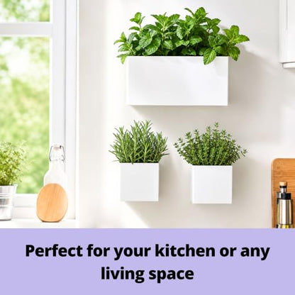 LaLaGreen Wall Planter (3-Pack Set) Rectangular Indoor Hanging Flower Boxes - size: 3-Pack Set
