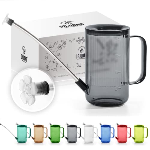 Small Watering Can Indoor Plants with Long Spout (1L, Gray) - color: Gray