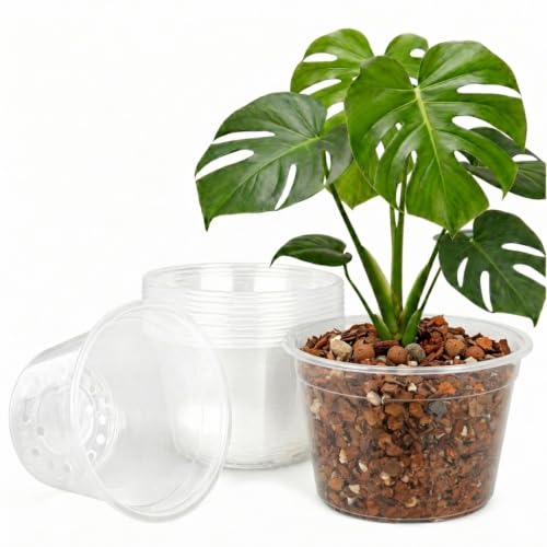 10 Pack 12 Inch Clear Nursery Pots, Large Clear Plant Pots with Drainage - size: 12 Inch-10 Pack