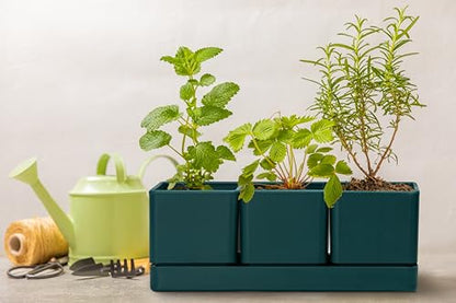 D'vine Dev Plastic Herb Garden Planter Set, Green, 76-V-C-1 - color: Green, size: 12"