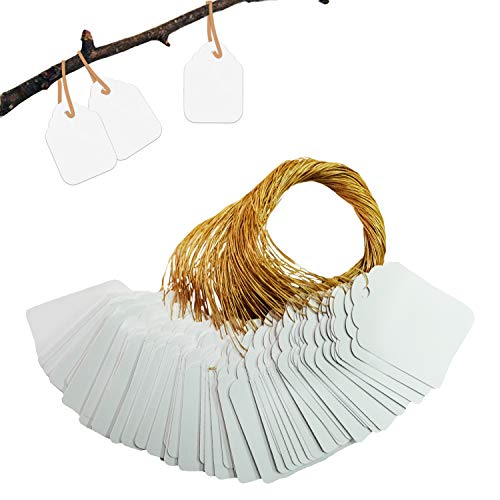 BEADNOVA Plant Hanging Tags 100pcs Tags with String Reusable Plant Labels Markers Plastic Garden Signs Garden Markers for Outdoor (2 Inch, White) - color: White 100pcs