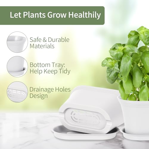 Oliz 6pk Windowsill Planters, White Plastic w/Drain Tray - Indoor/Outdoor - color: White