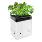 VIVOSUN 50-Pack 3 Gallon Plastic Grow Bags for Plants, Black & White - size: 3 Gallon