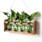 Plant Propagation Stations Halloween Skull Plant Terrarium Kit - color: Green