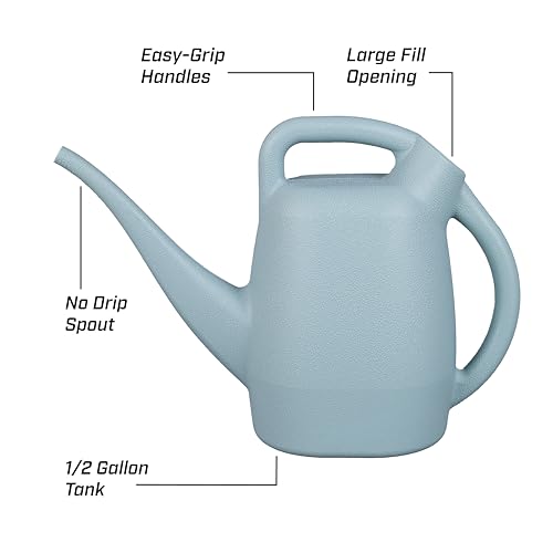 CHAPIN 48007 1/2-Gallon Watering Can, Easy-Pour Dual Handle Design - style: 0.5 Gallons, Sky Blue