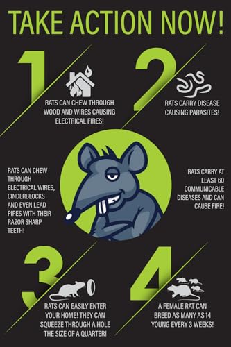Rat Trap Six Pack - Powerful Reusable Traps for a Quick Kill Indoor or Out - size: 6 Pack Rat Traps