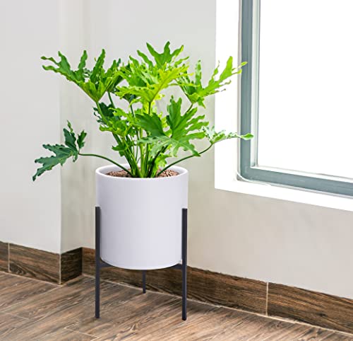 D'vine Dev Cylinder Planter Pot with Metal Stand, White, 10 in, 96-T-A-2 - color: White, size: Medium 10 Inch