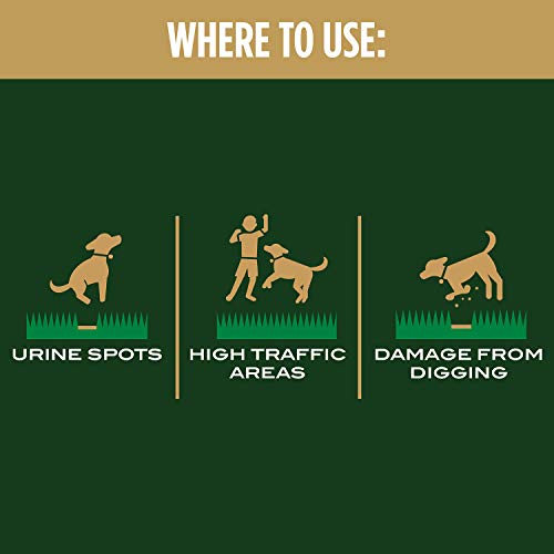 Scotts EZ Seed Dog Spot Repair Sun and Shade, 2 lbs.