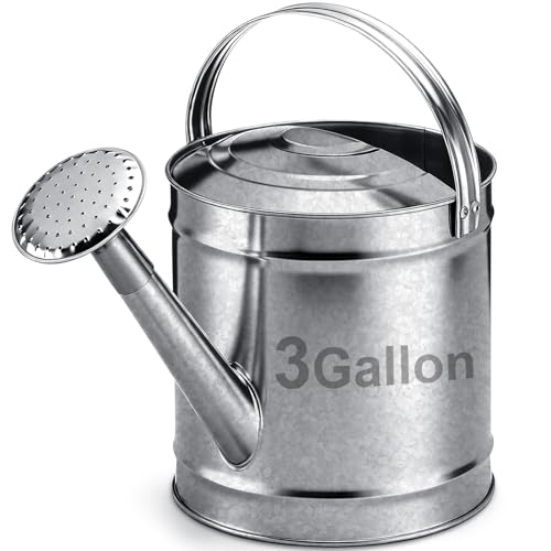 Geetery 3 Gallon Galvanized Metal Watering Can, Removable Spout,Silver, - size: 3 Gallon