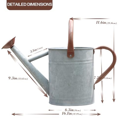 Metal Watering Can 1 Gallon for Outdoor Garden Plants, Zinc - color: Zinc