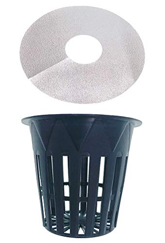 HORTIPOTS 2 Inch Net Pot, Wide Rim Design (Set of 75)