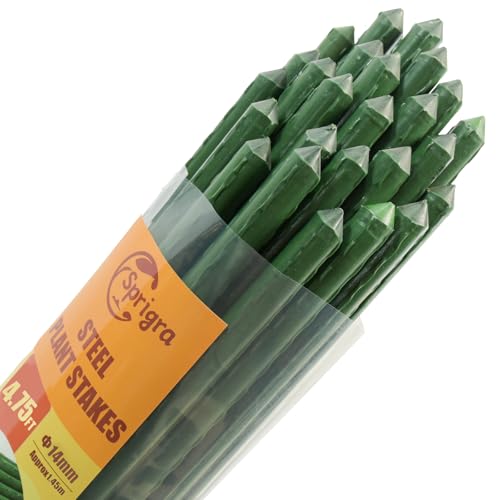 Plant Stakes 6ft, Steel Garden Stakes 6 Feet 25 Pack, Sturdy Plant Support for Climbing Plants, Tomatoes, Beans, Cucumbers, Peppers, Flowers, Potted, Strengthen and Stem to Grow Better - size: 6FT, 25 of pack