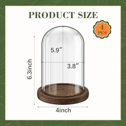 Suclain 4Pc Glass Dome Cloche with Wood Base, Brown, 5.9" X 3.8" - color: Brown, size: 5.9" X 3.8"