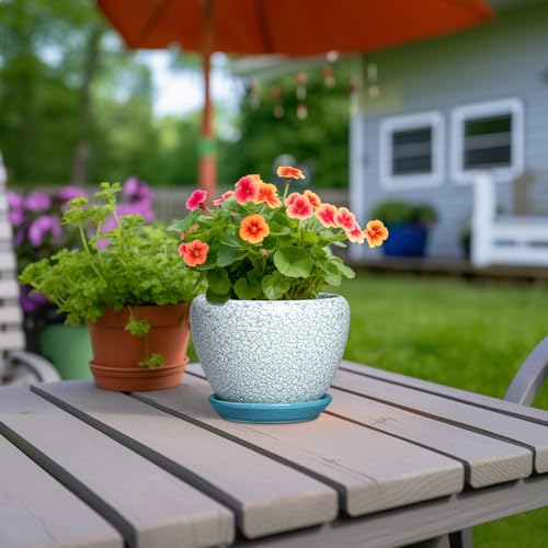 Ceramic Plant Pot, 6 Inch Indoor Planters, Crackle Blue - color: Crackle Blue, size: 6 Inch