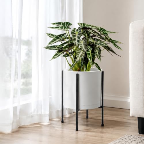 D'vine Dev Plastic Planter Pot with Metal Stand, White, 10 in, 55-D-A-2 - color: White, size: 10 Inch