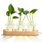 XXXFLOWER Plant Propagation Station with LED Light Wooden Base 3 Star Vases - color: LED Light