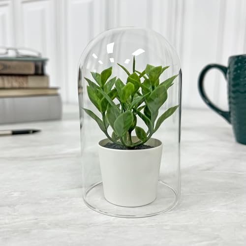 Plymor 3" x 5" Glass Display Dome Cloche (no Base) - color: No Base