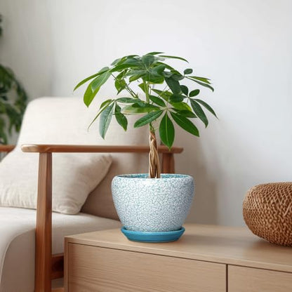 Ceramic Plant Pot, 6 Inch Indoor Planters, Crackle Blue - color: Crackle Blue, size: 6 Inch