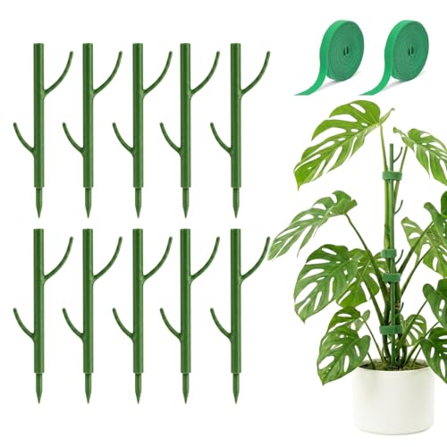 10-Piece Thick Plant Support Stakes: Stackable for Monstera Climbing Vines