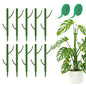 10-Piece Thick Plant Support Stakes: Stackable for Monstera Climbing Vines