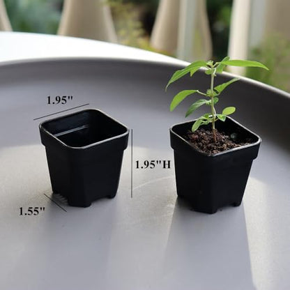 200 Pack 1.95 Inch Tiny Black Plastic Square Nursery and Seedling Pot, Mini Transplant Seed Starter Planter with Drain Hole for Germination, Herb, Succulent - color: Black, size: 1.95 inch