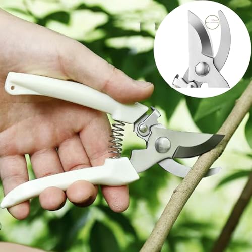 Flower Bouquet Accessories, Flower Scissors Rose Thorn Stripper Tool - color: Blue & White-green Gloves