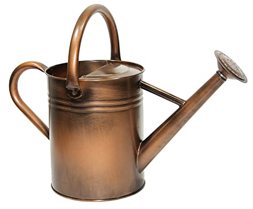 Galvanized Metal Watering Can 1 Gallon for Outdoor Garden Plants - color: Retro Coppery