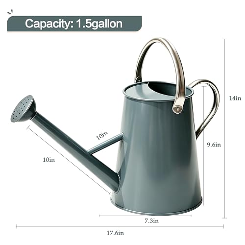1.5 Gallon Metal Watering Can for Outdoor Plants, Large Watering Can, Gray - color: Gray