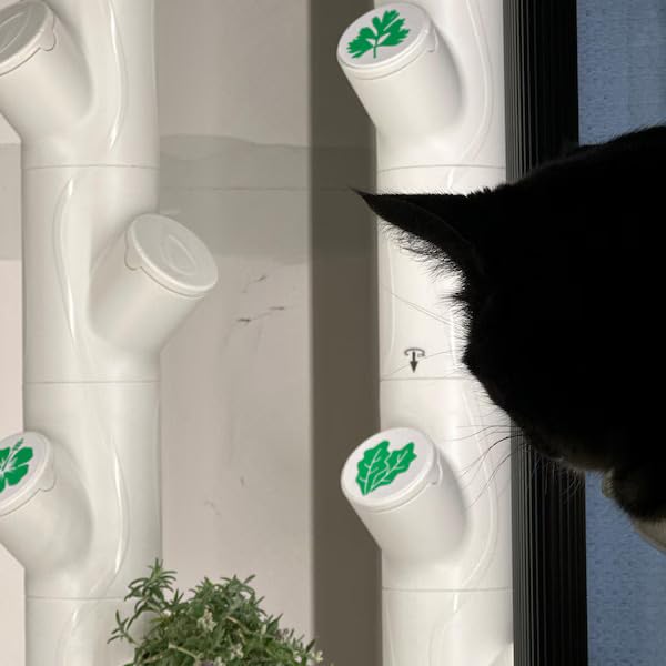 Grow Cubes for Hydroponic System/Compatible with Gardyn (10 Grow Cubes / 10 White caps) - style: 10 Grow Cubes / 10 White caps