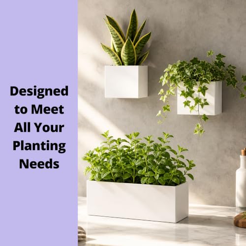 LaLaGreen Wall Planter (3-Pack Set) Rectangular Indoor Hanging Flower Boxes - size: 3-Pack Set