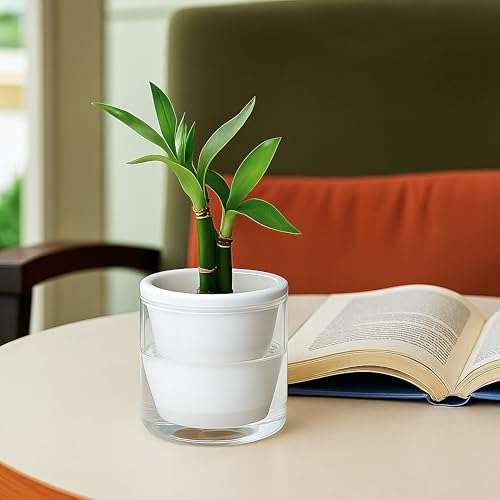 D'vine Dev Self-Watering White Terracotta Planter, 4 in, 2-Pack, 37-Y-A-2 - color: White, size: 4 Inch