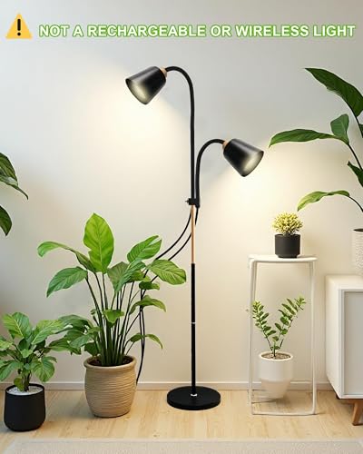 Standing Plant Grow Light, LED Growing Light Full Spectrum for Indoor Plants，4/8/12H Timer, 10-Level Brightness,Flow Grow Light for Tall Large Indoor Plants - size: Dual Head Bendable Light