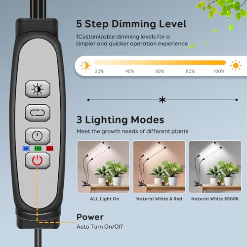 Dual-Head Clip Grow Lights for Indoor Plants, Full Spectrum Plant Lights. - size: 2 Heads