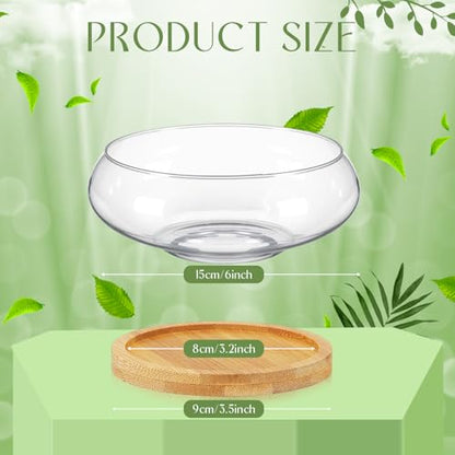 Baderke 2 Sets Lotus Bowl Planter Glass Lotus Flower Bowl with Tray