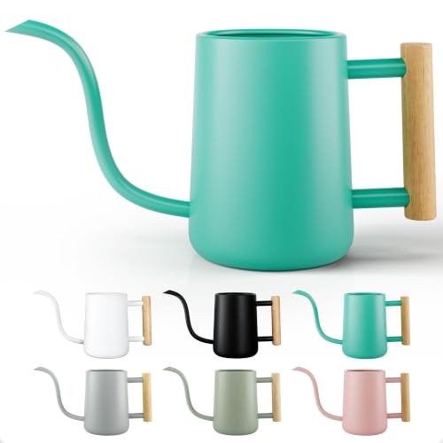 Metal Small Indoor Watering Can with Long Spout & Real Wood Handle, 35oz - color: Mint Green
