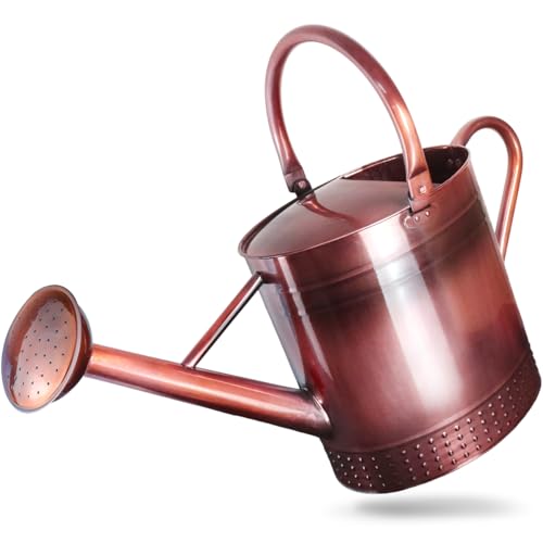 2 Gallon Meltal Garden Watering Can Removable Spout, Galvanized Steel Large Water Can with Embossed Design for Outdoor Indoor Plants (Copper, 2 Gallon)