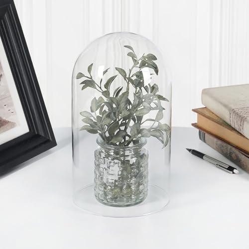 Plymor 5.5" x 10" Glass Display Dome Cloche (no Base) - color: No Base