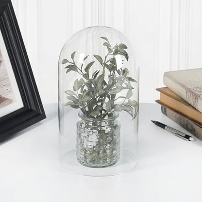 Plymor 5.5" x 10" Glass Display Dome Cloche (no Base) - color: No Base