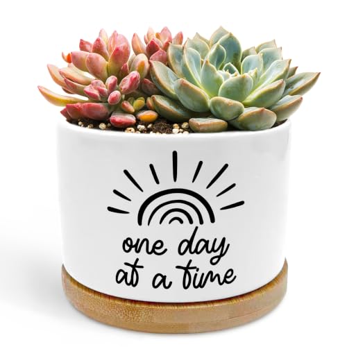 Inspirational Mental Health Planter Pots, One Day at a Time Affirmation Ceramic Succulent Plant Flower Planters(No Plants) - color: Style 03