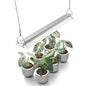 Barrina TX36 2FT LED Grow Light, 36W(200W Equivalent), 5000K Full Spectrum - color: 5000K, size: 2FT-36W-1P