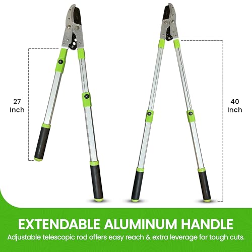GARDEN GURU Extendable Anvil Lopper Tree Trimmer with Compound Action, Chops Thick Branches with Ease, 28-40”, Non-Stick High Carbon Steel Blade, Heavy Duty Branch Cutter, 2 Inch Clean Cut Capacity - size: 1 Pack, style: Extendable Anvil Lopper