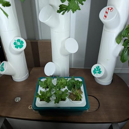 Grow Cubes for Hydroponic System/Grow Cubes Compatible with Gardyn (Seed Starter Nursery + w/Rockwool) - style: Seed Starter Nursery + w/Rockwool